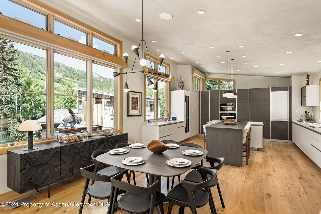 1190 Riverside Dr in Aspen, CO - Building Photo