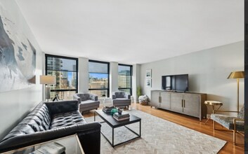 260 E Chestnut St in Chicago, IL - Building Photo - Building Photo