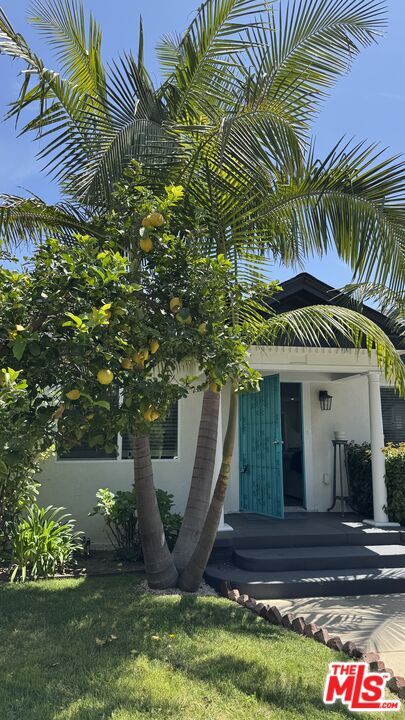 1154 N Ogden Dr in West Hollywood, CA - Foto de edificio - Building Photo