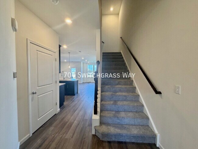 704 Switchgrass Wy in Bolingbrook, IL - Building Photo - Building Photo