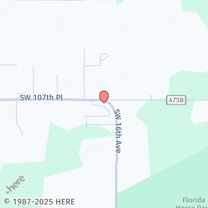 1715 SW 107th Ln in Ocala, FL - Foto de edificio