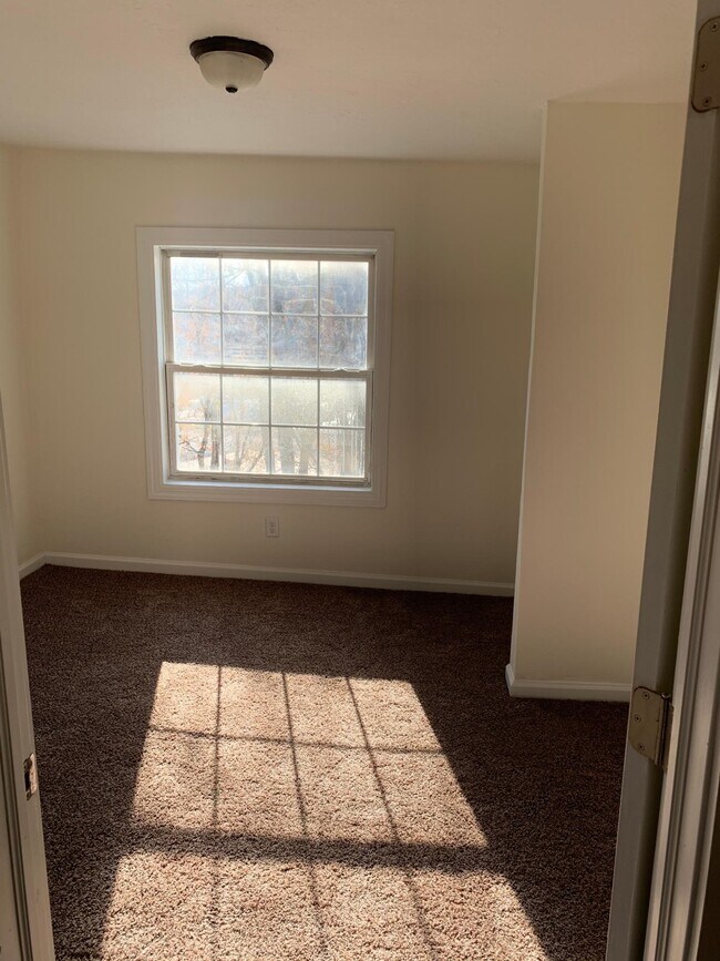 1313 Mineral Ave Apartments and Nearby Apartments For Rent