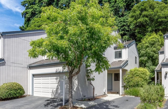 property at 319 Village Creek Rd