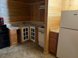 102 E Erie St in Albion, MI - Building Photo