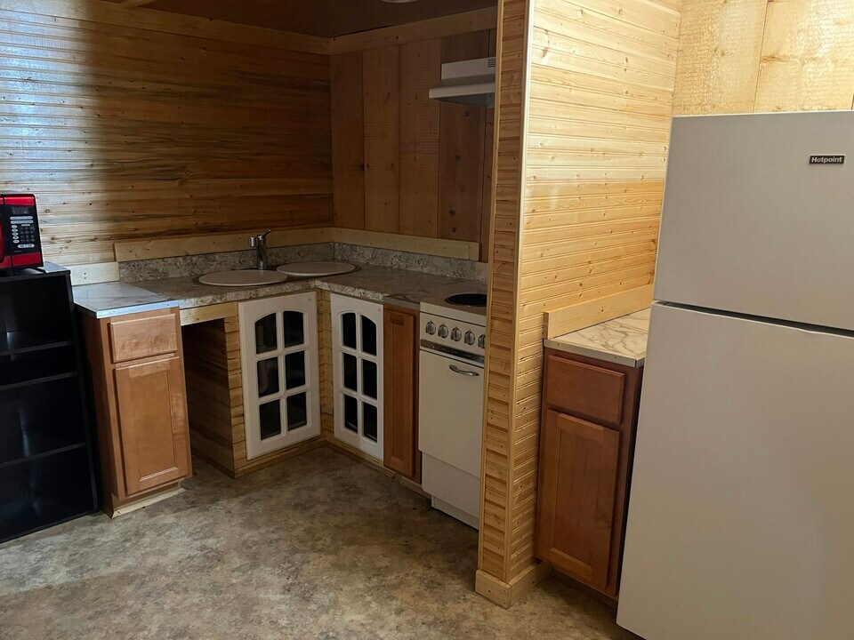 102 E Erie St in Albion, MI - Building Photo