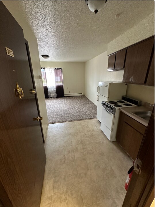 320 Oak Ave N in Thief River Falls, MN - Building Photo