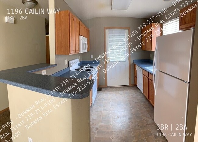 1196 Cailin Way in Fountain, CO - Building Photo - Building Photo