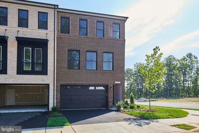 42221 Shining Star Sq in Brambleton, VA - Building Photo - Building Photo