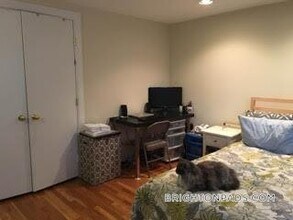 15 Euston Rd in Boston, MA - Building Photo - Building Photo