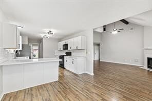 property at 22223 Singleleaf Ln