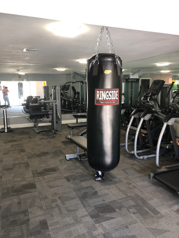 115 S Lois Ave in Tampa, FL - Building Photo - Building Photo