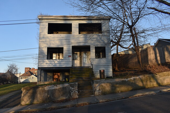 149 Hudson St in Johnson City, NY - Building Photo - Building Photo