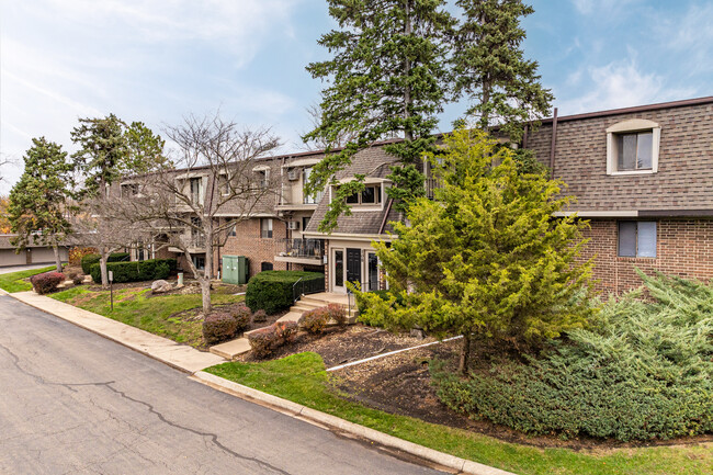 Olive Tree Condos in Naperville, IL - Building Photo - Building Photo