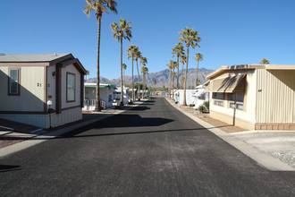 Paradise Village in Tucson, AZ - Building Photo - Building Photo