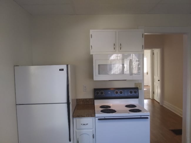 205 E Pine St, Unit 1 in Athens, PA - Foto de edificio - Building Photo