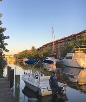 1525 Curlew Ave in Naples, FL - Building Photo