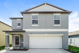 17884 Beaming Rays Ln in Lutz, FL - Building Photo