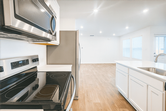 2111 Organ Pipe Cactus in San Antonio, TX - Building Photo - Building Photo