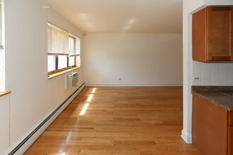 513 W Briar Pl in Chicago, IL - Building Photo - Building Photo