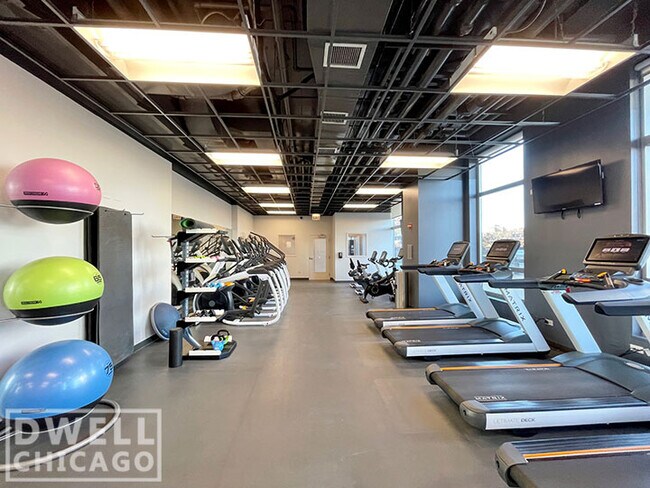216 N Canal St, Unit 2 in Chicago, IL - Building Photo - Building Photo