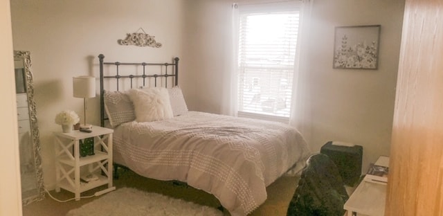 1026 Euclid Ave in Kalamazoo, MI - Foto de edificio - Building Photo