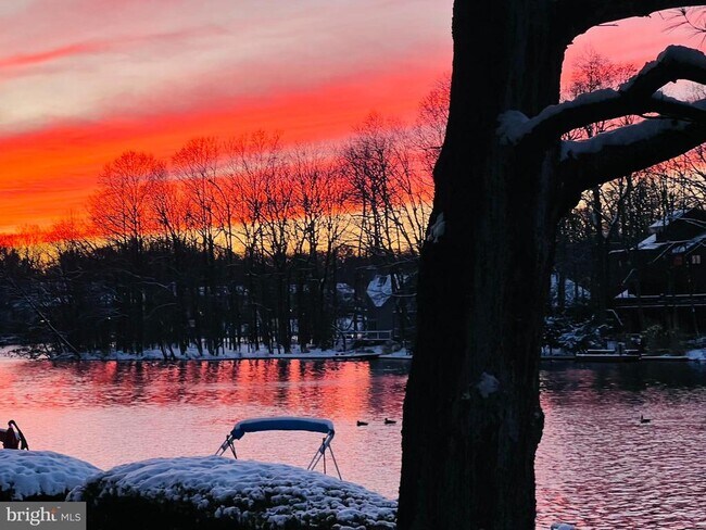 11292 Harbor Ct in Reston, VA - Building Photo - Building Photo