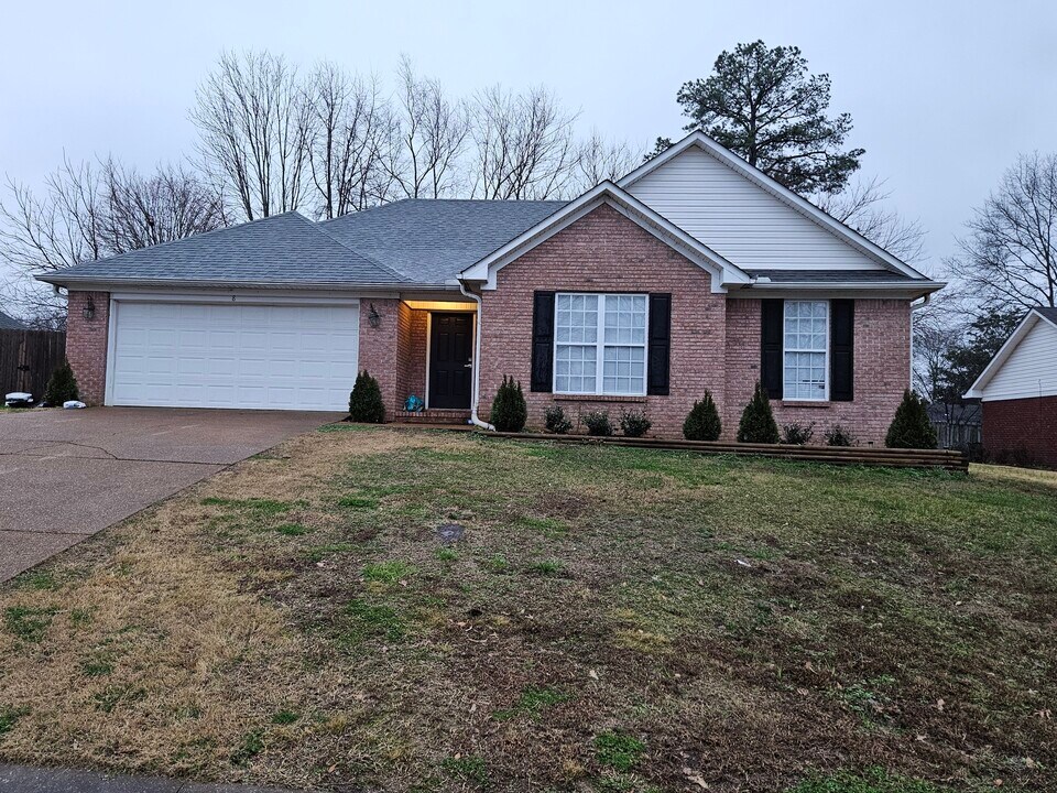 8 Walnut Grove Cove in Jackson, TN - Building Photo