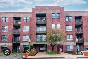 14 Heron St in Boston, MA - Building Photo