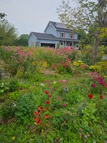 6 Sunset Terrace in St. Albans, VT - Building Photo