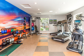 Parkway Terraces in Carson City, NV - Foto de edificio - Interior Photo