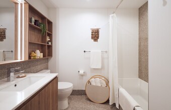 353 W Grand Ave in Chicago, IL - Foto de edificio - Building Photo