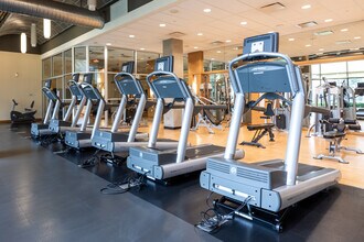 Palisades of Towson in Towson, MD - Building Photo - Interior Photo