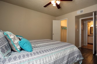 The Mirage in Arlington, TX - Foto de edificio - Interior Photo