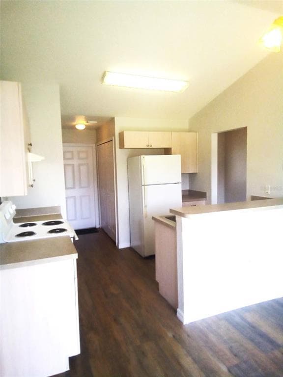 424 Danube Way in Kissimmee, FL - Building Photo - Building Photo