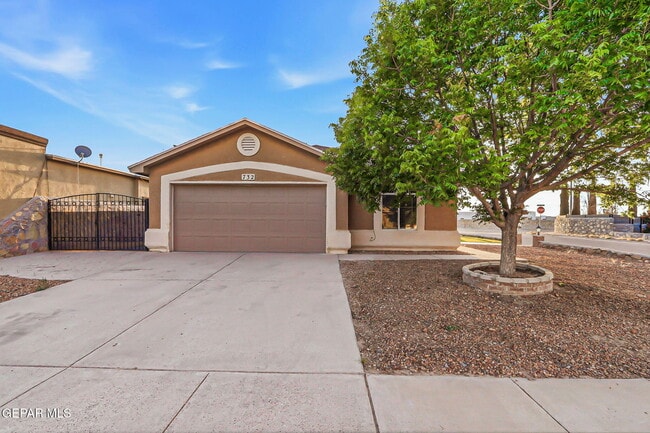 property at 732 Desert Sage Dr