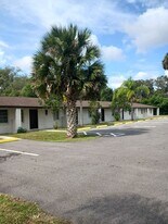 16222 Wallace St in Umatilla, FL - Building Photo