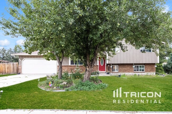 1175 Babcock Rd
