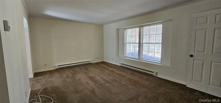 323 Cushetunk Dr in Cochecton, NY - Building Photo - Building Photo