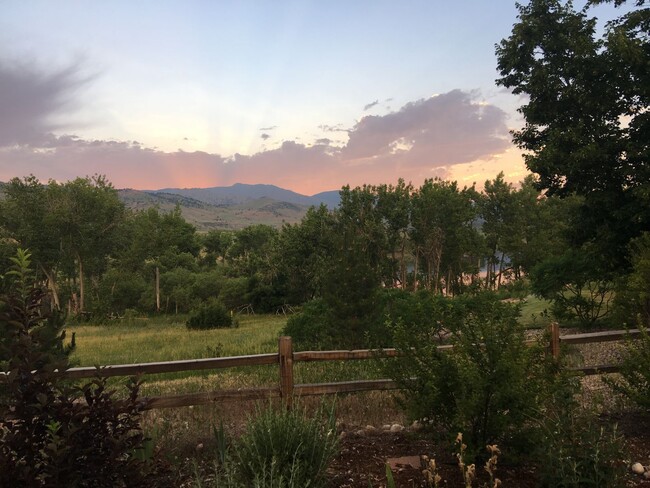 3936 Bogey Ct in Longmont, CO - Building Photo - Building Photo