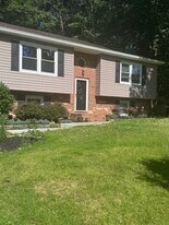 704 Candle Ridge Ct in Fredericksburg, VA - Building Photo