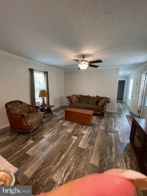 535 Parrish Ln