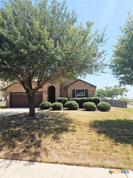 1000 Desert Rose Cove in Kyle, TX - Building Photo