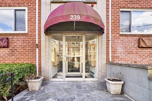 239 Kelton St in Boston, MA - Building Photo