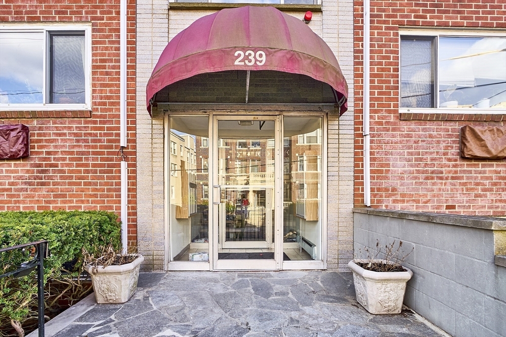 239 Kelton St in Boston, MA - Building Photo