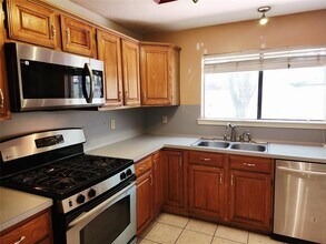 21003 Moor Lily Ct in Spring, TX - Building Photo - Building Photo