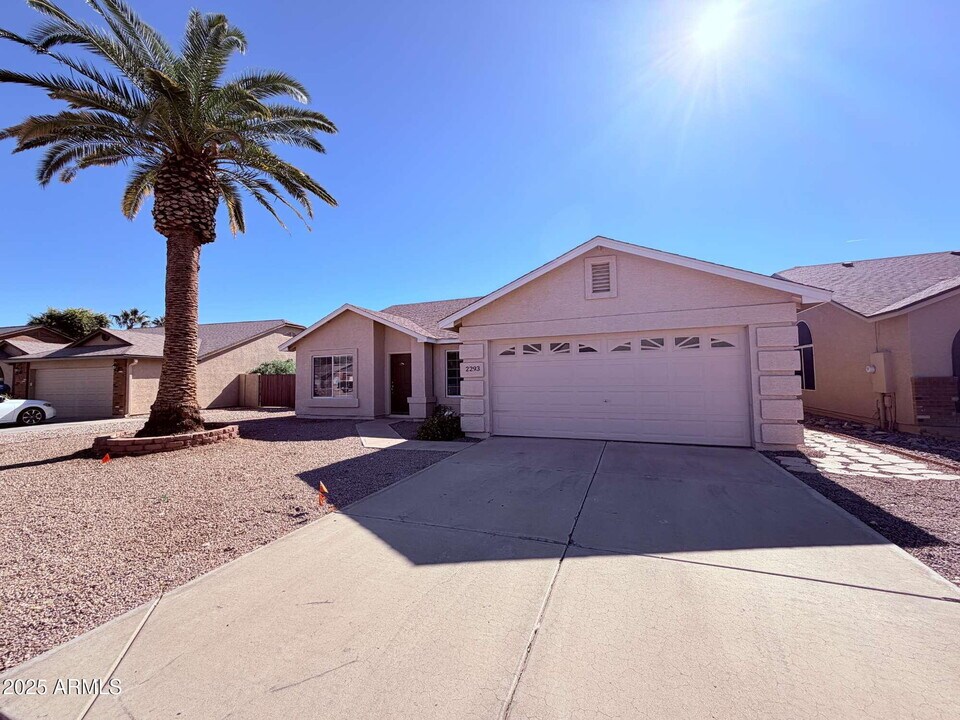 2293 E Longhorn Pl in Chandler, AZ - Building Photo