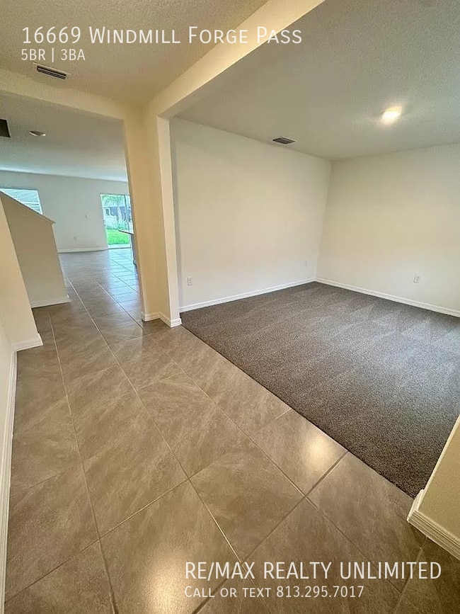 16669 Windmill Forge Pass in Wimauma, FL - Building Photo - Building Photo