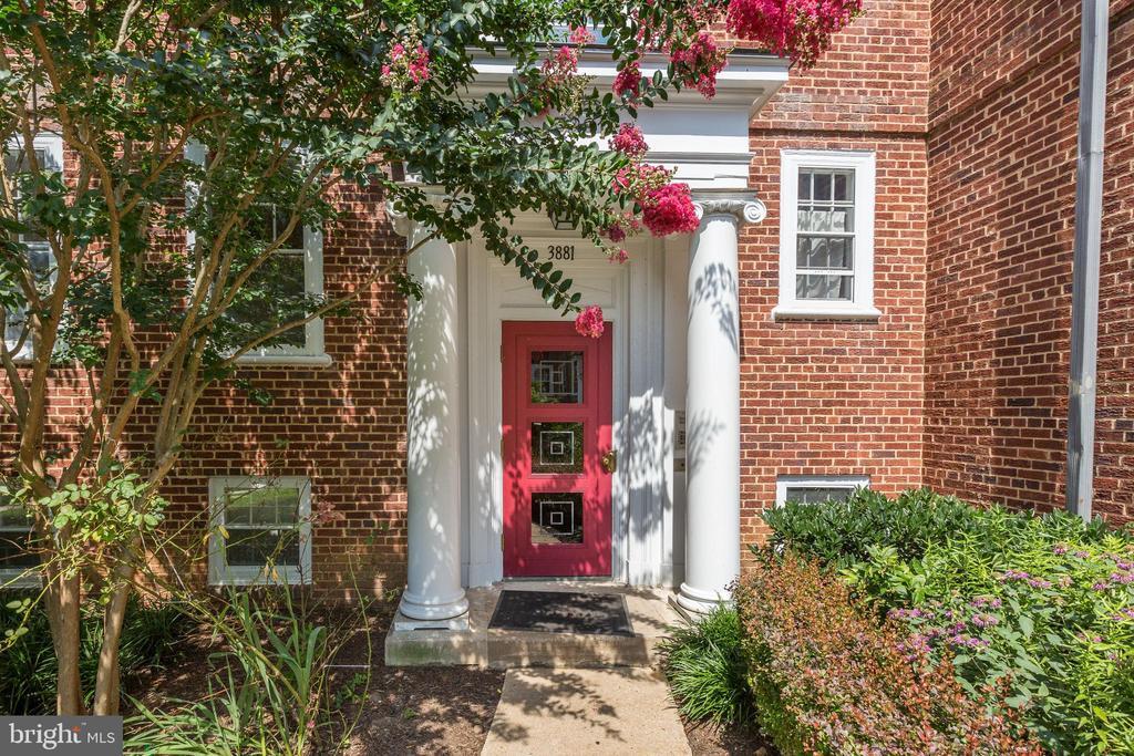 3881 Newark St NW in Washington, DC - Building Photo