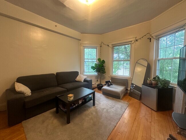 156 Magazine St, Unit 25 in Cambridge, MA - Foto de edificio - Building Photo