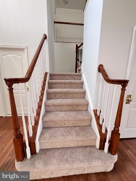 42464 Unicorn Dr in Chantilly, VA - Building Photo - Building Photo